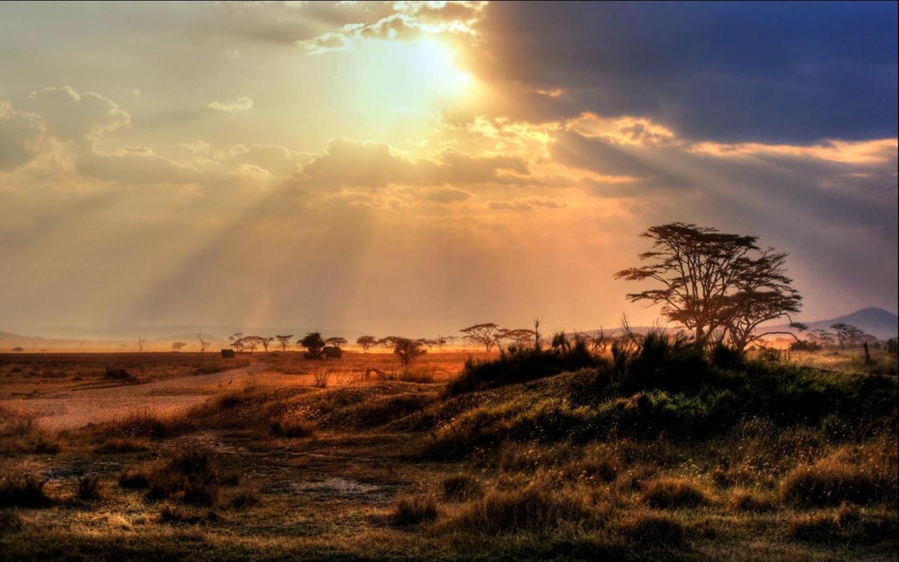 Africa Safari Maasai Boma Vila Serengeti Exterior foto